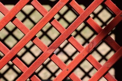 altana ile od granicy