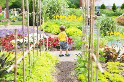 altana z wierzby energetycznej jak zrobic