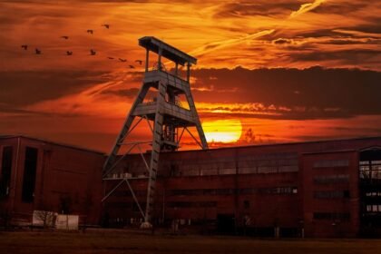 Ile kosztuje tona węgla kostka