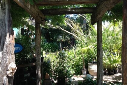 ile kosztuje altana ogrodowa