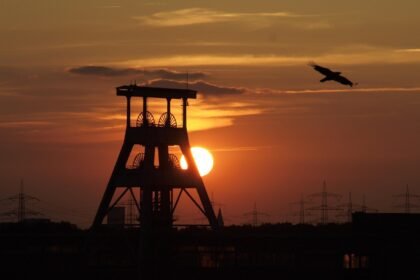 Ile kosztuje tona węgla ekogroszek