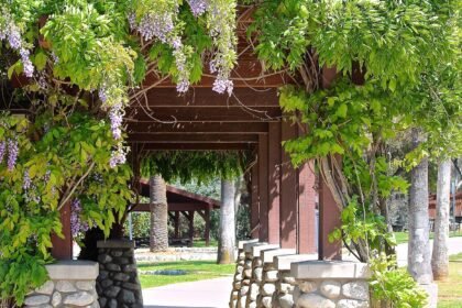 ile kosztuje altana murowana