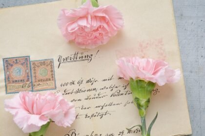 jak długo przechowywać rachunki rtv