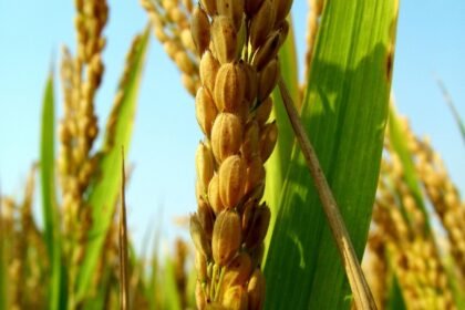 jak długo przechowywać rachunki za czynsz